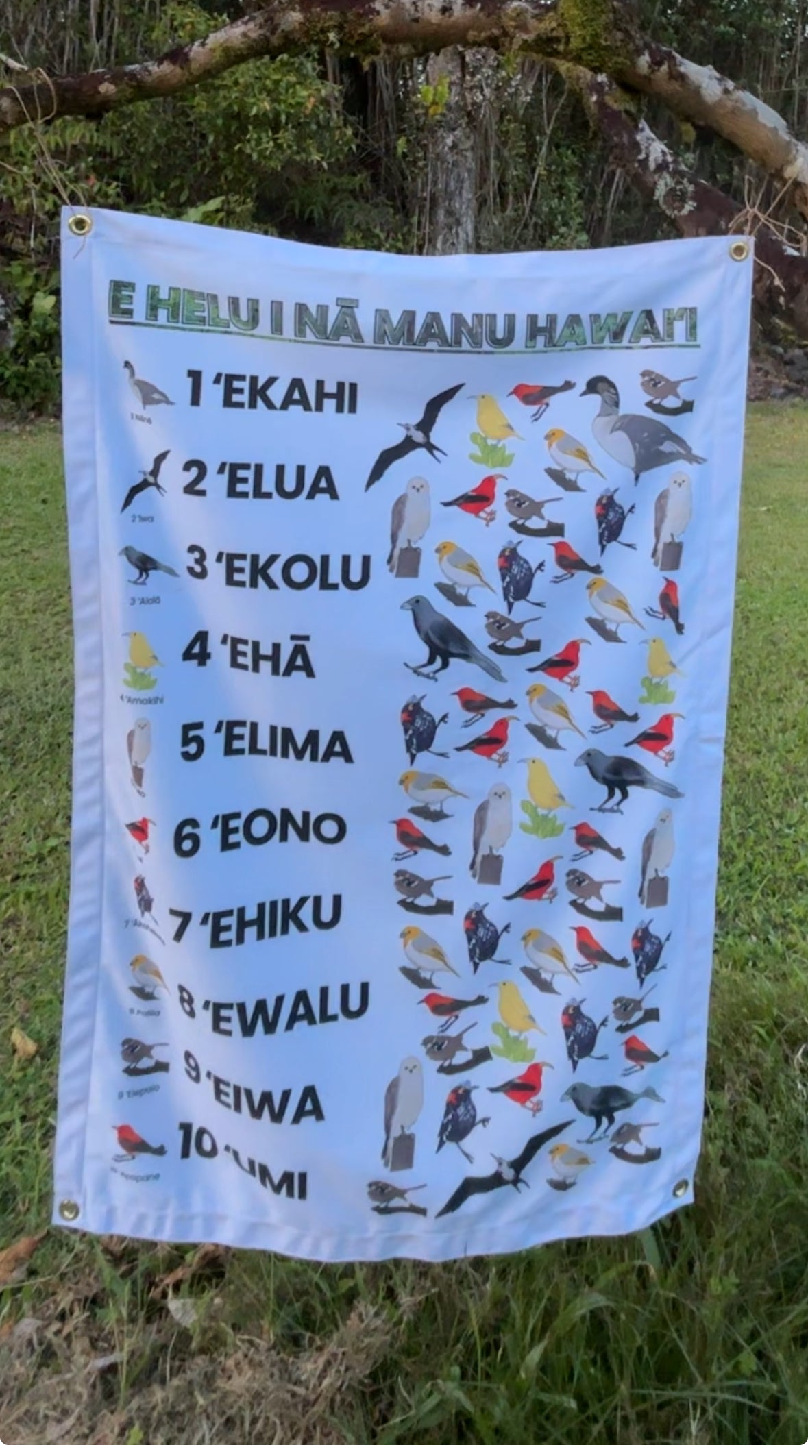 Oopsie E Helu i Nā Manu Hawaiian Bird Chart (60% Off)