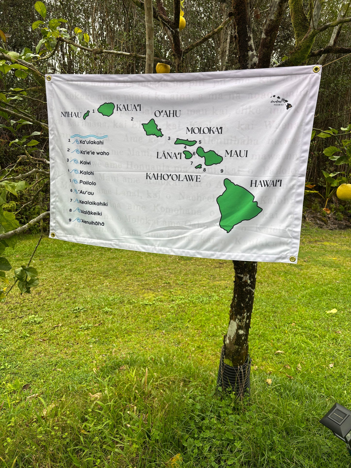 Chart - Hawaiian islands + Channel names