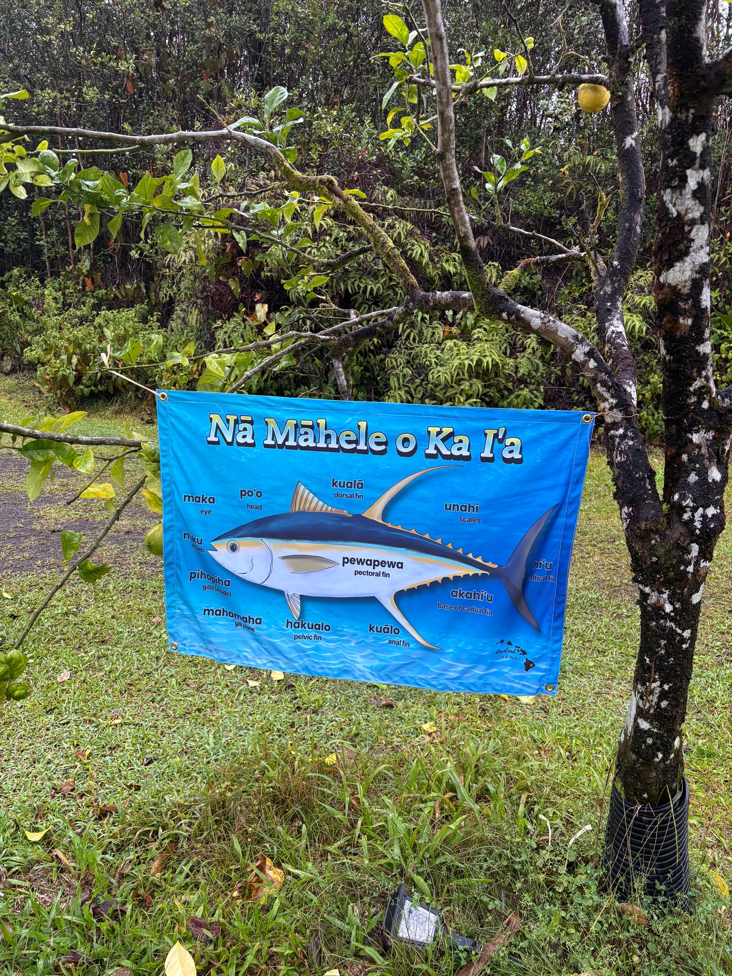 Nā Māhele o ka Iʻa Poster