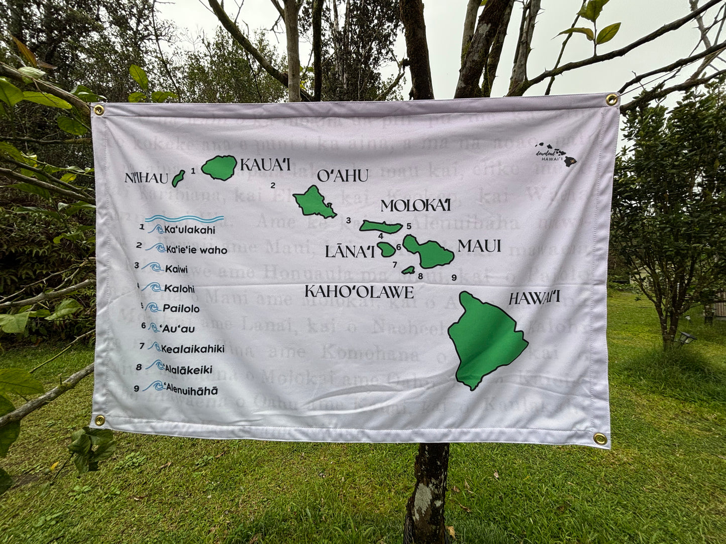 Chart - Hawaiian islands + Channel names