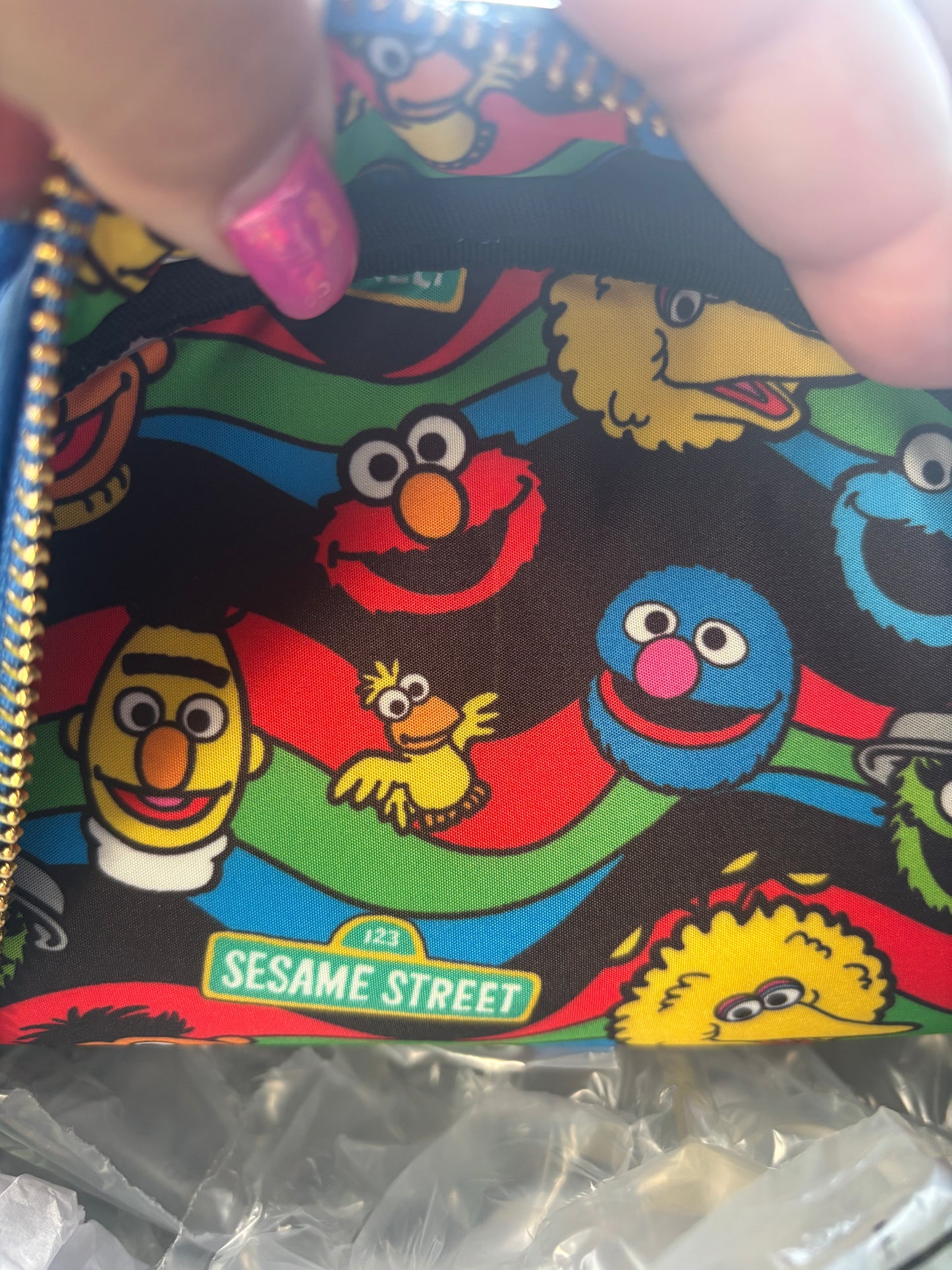 A close-up of a Sesame Street zippered pouch or wallet being held by hands. The product features a colorful all-over print of Sesame Street characters including Elmo, Cookie Monster, Grover, Big Bird, and Bertie on a black background, with a gold zipper and a Sesame Street logo patch near the bottom.